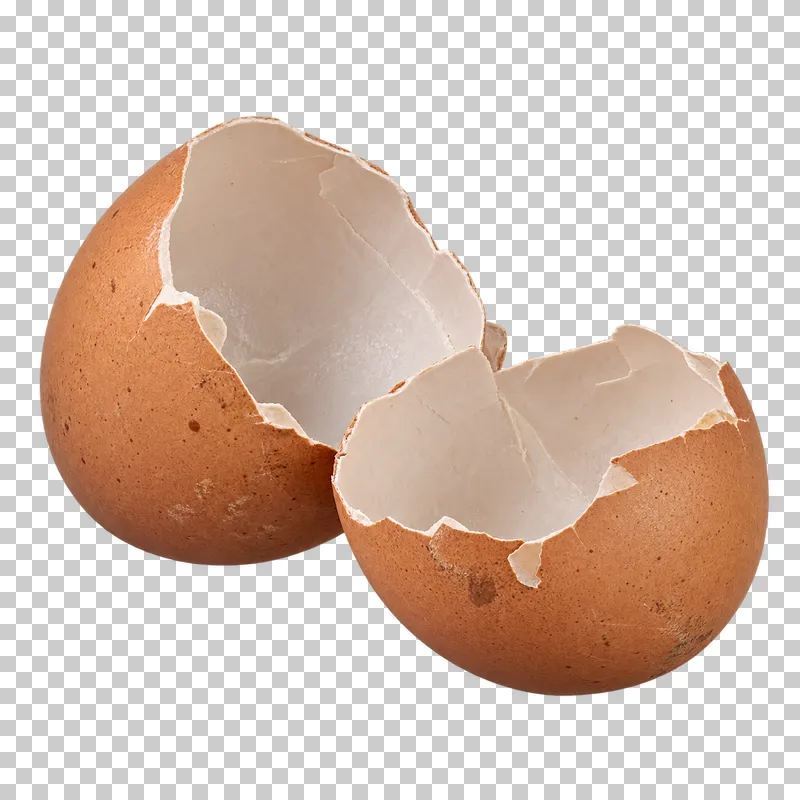 Two empty eggshell halves.