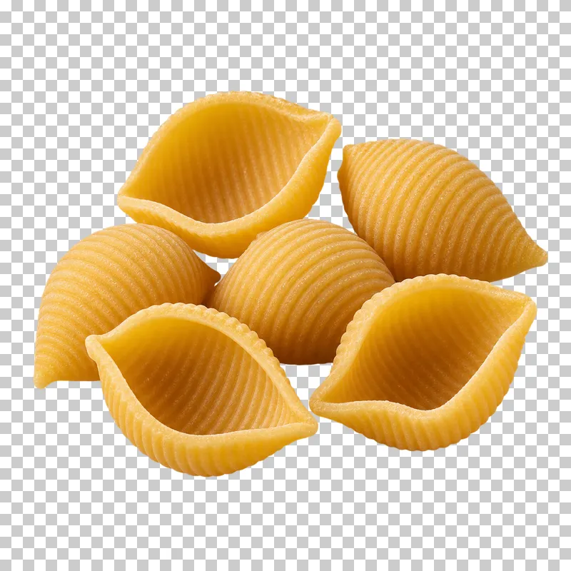 A compact group of dry shell-shaped conchiglie pasta.