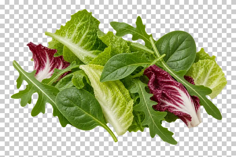 Mixed baby leaf portion with photographic detail, isolated on transparent background.