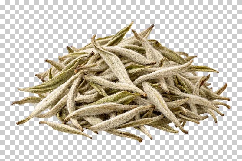 A pile of pale fuzzy Silver Needle white tea buds.