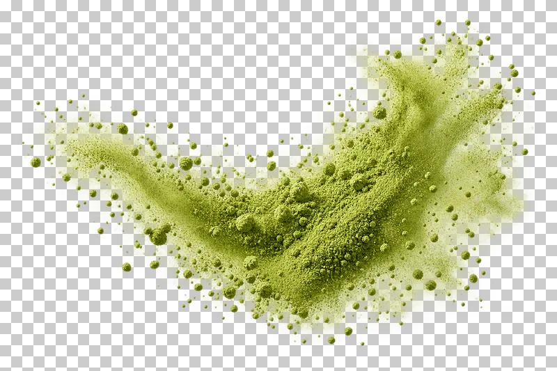 An asymmetric airborne plume of green matcha powder with fine dust and small particles.