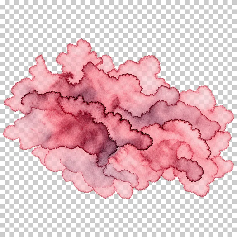 A dusty rose watercolor backrun bloom patch with uneven translucent pigment and drying edges.