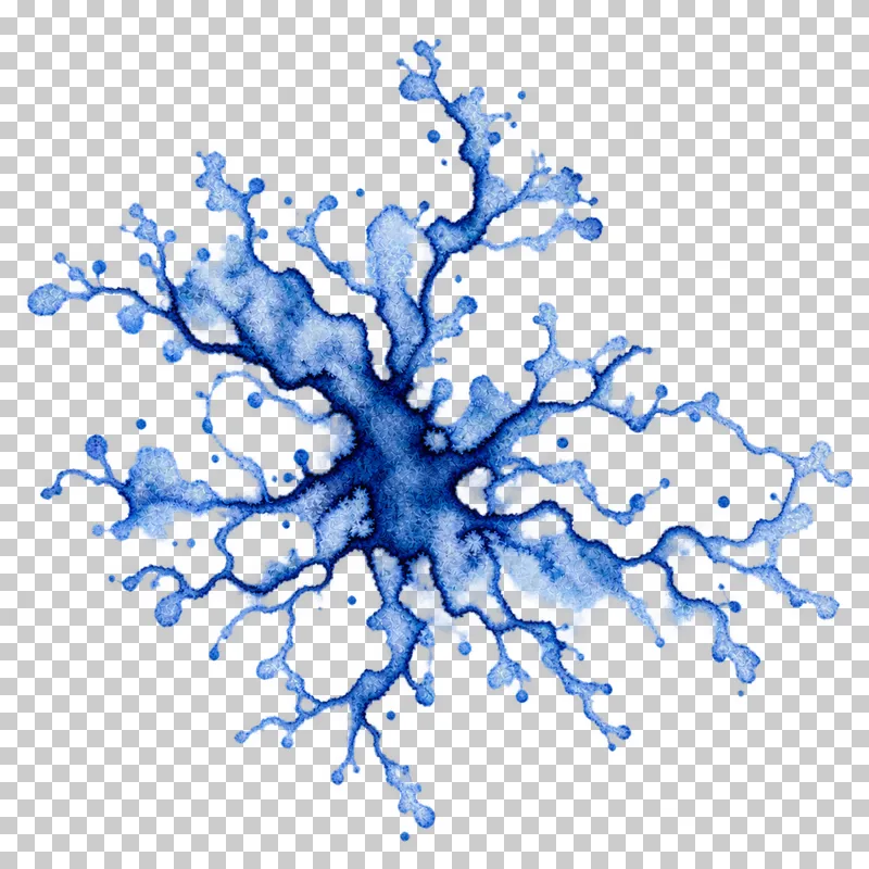 A indigo watercolor branching wet diffusion with uneven translucent pigment and drying edges.