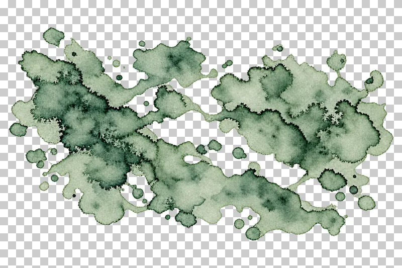 A muted sage watercolor separated pigment islands with uneven translucent pigment and drying edges.