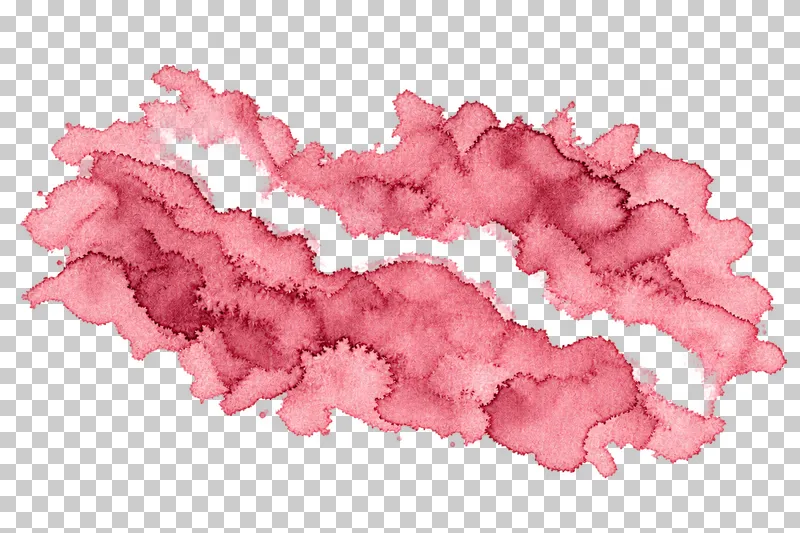 A dusty rose watercolor lifted pigment channels with uneven translucent pigment and drying edges.
