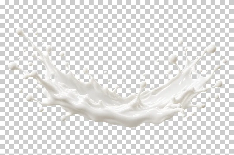 A wide lateral milk splash with a low curved body and separate droplets.