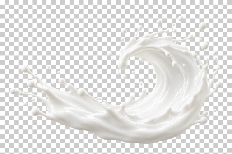 A curling milk wave with a rolled lip and a low liquid base.