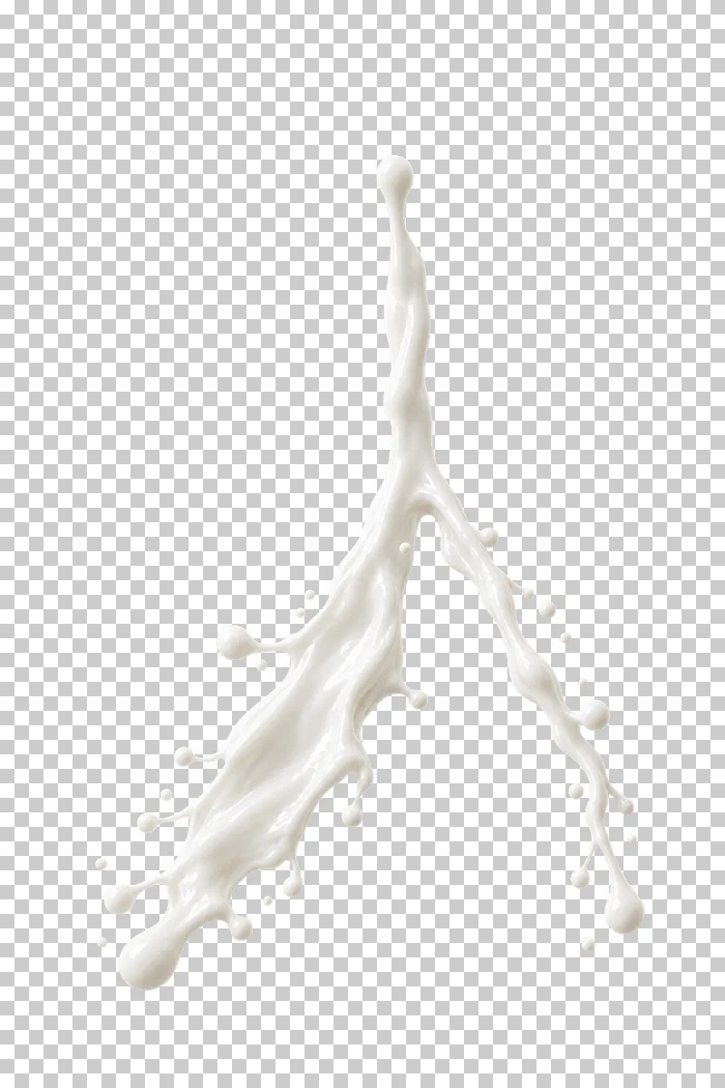 A milk stream separating into two unequal branches.