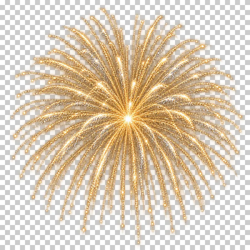 Rounded gold firework with many fine curved light trails.