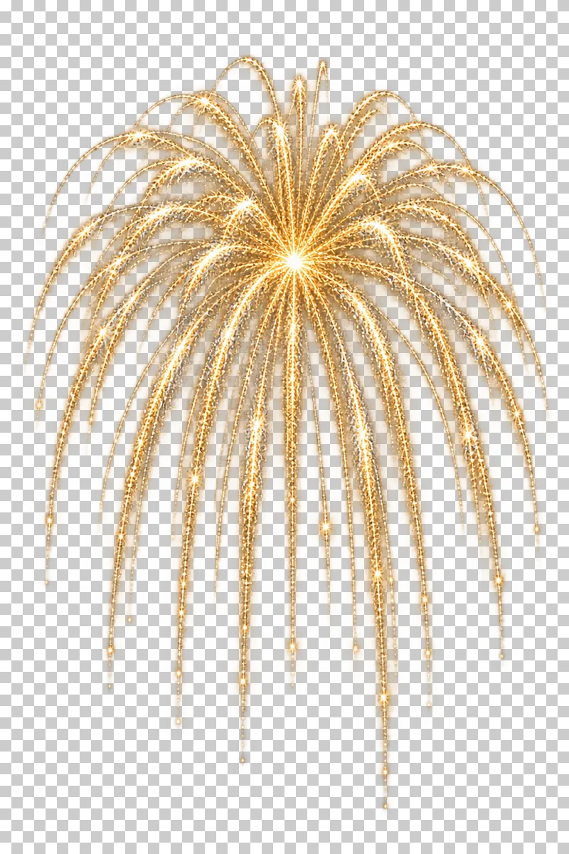 Gold willow firework with long hanging trails.