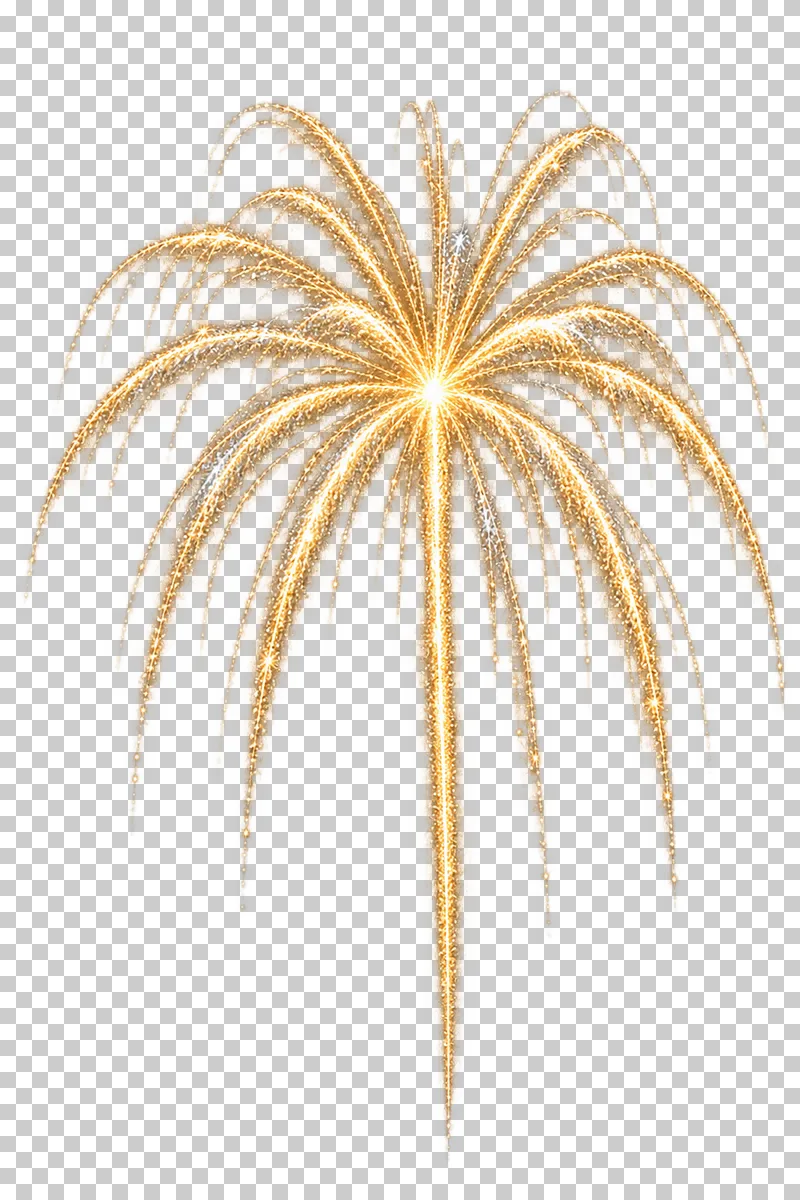 Gold palm firework with thick arching trails and a long rising stem.