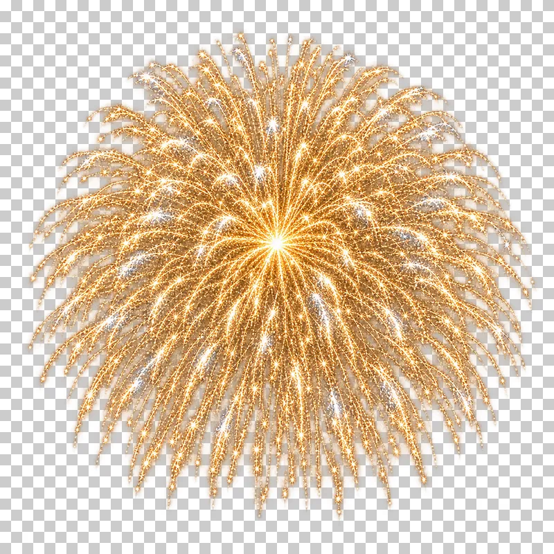 Dense round crown of branching gold firework trails.