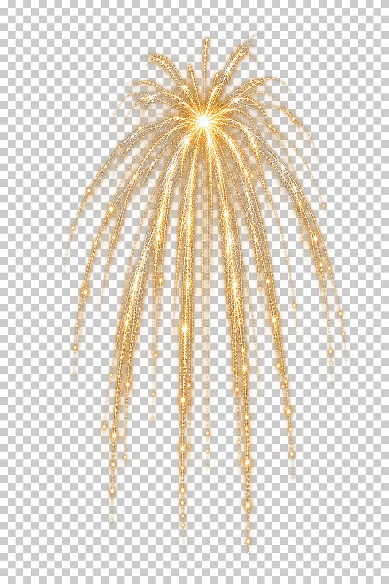 Narrow gold firework with trails falling below a compact crown.