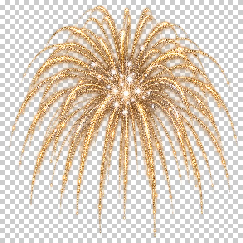Gold firework with bright central points and long curved outer trails.