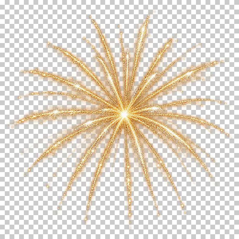 Open gold firework with long pointed radial streaks.