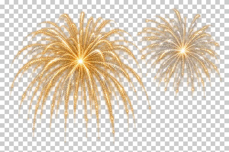 Two gold firework bursts of different sizes, offset in height.