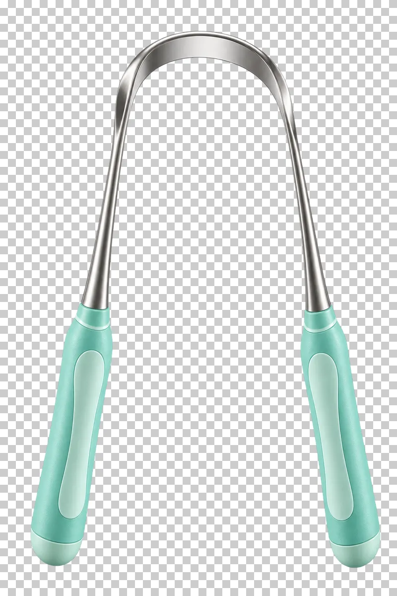 Curved metal tongue scraper with two mint grips.