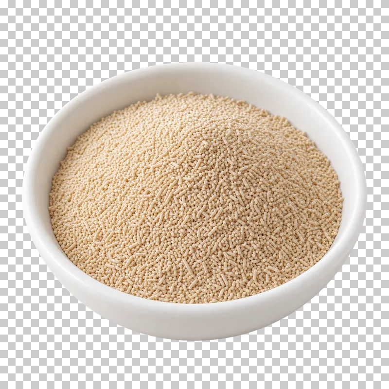 Fine tan dry yeast granules in a plain white dish.