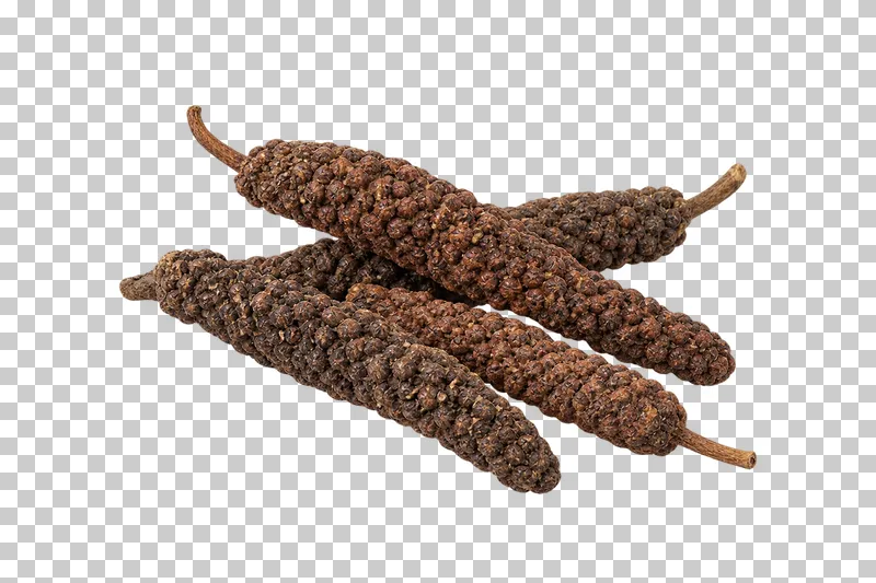 Whole long pepper spikes with natural dry texture, isolated on a transparent background.
