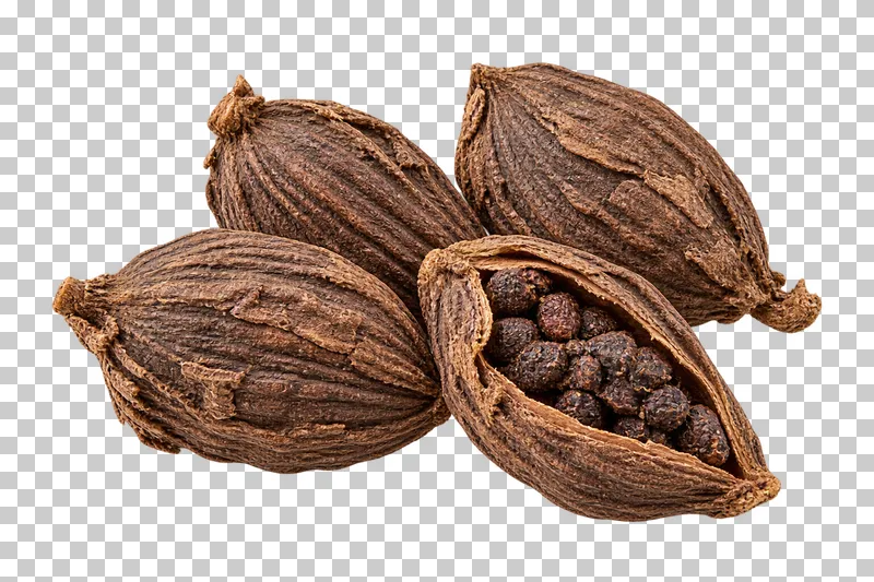 Smoke-dried black cardamom pods with natural dry texture, isolated on a transparent background.
