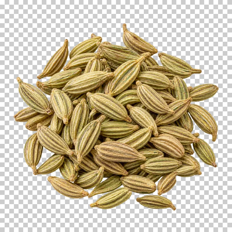 Fennel seeds with natural dry texture, isolated on a transparent background.