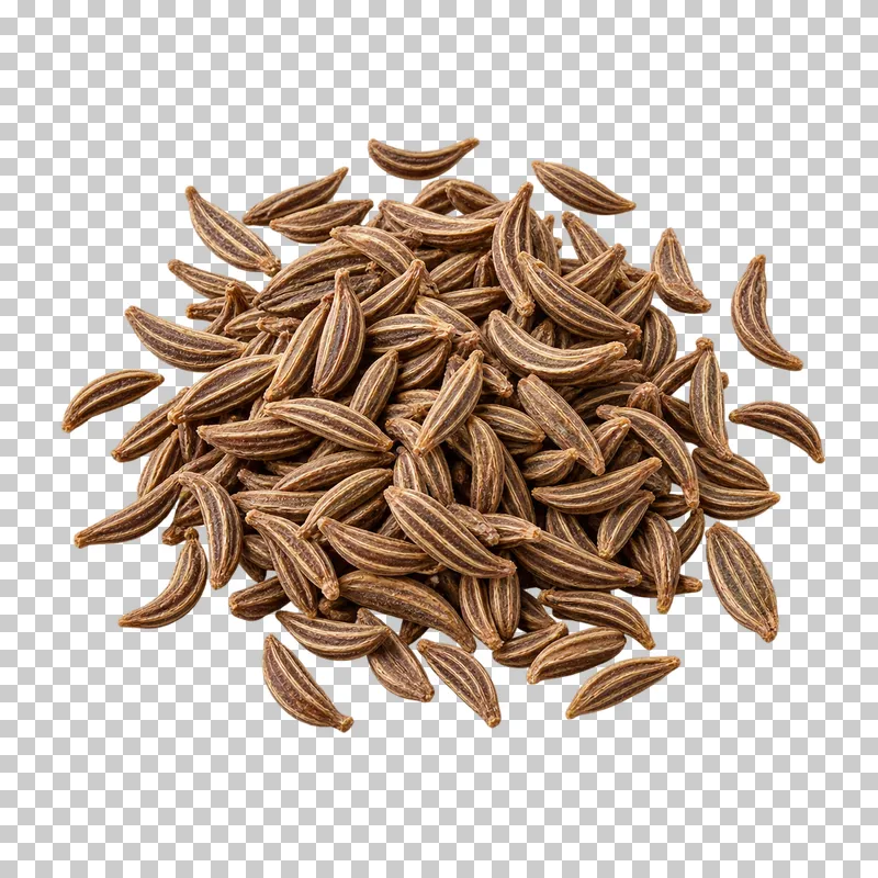 Caraway seeds with natural dry texture, isolated on a transparent background.