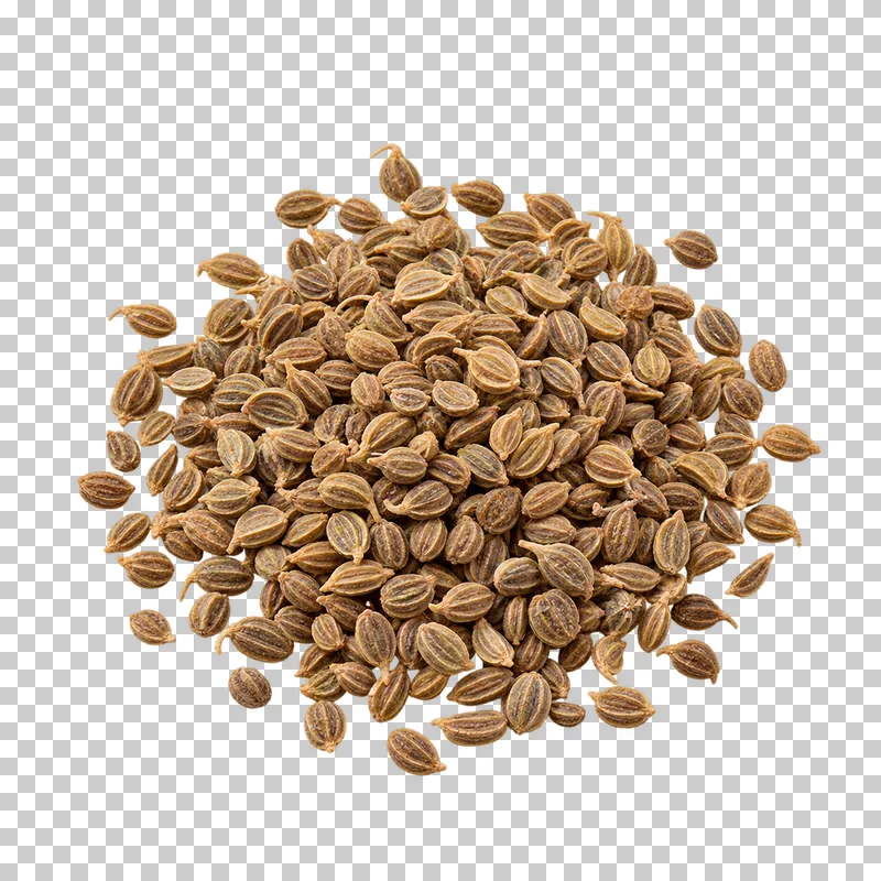 Celery seeds with natural dry texture, isolated on a transparent background.