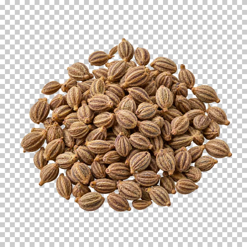 Ajwain seeds with natural dry texture, isolated on a transparent background.