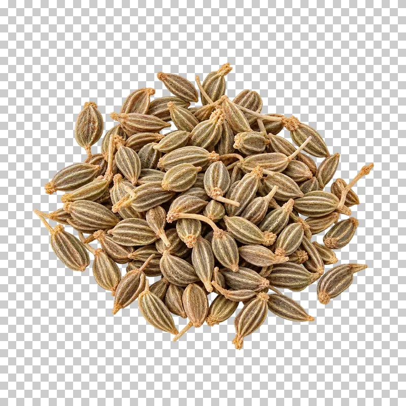 Anise seeds with natural dry texture, isolated on a transparent background.