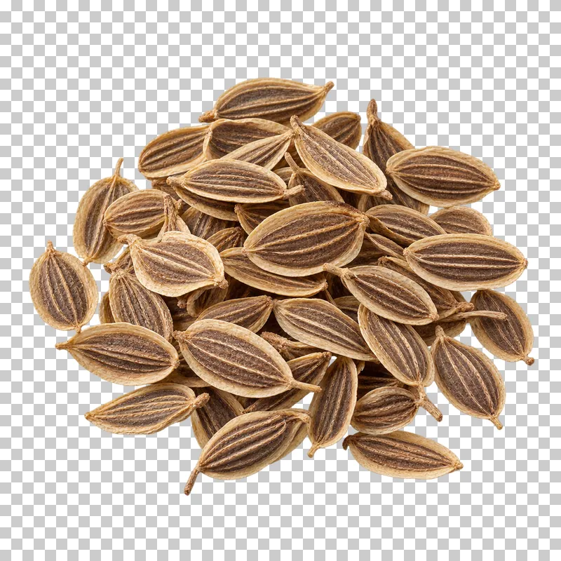 Dill seeds with natural dry texture, isolated on a transparent background.