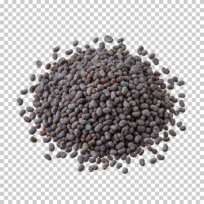Poppy seeds with natural dry texture, isolated on a transparent background.
