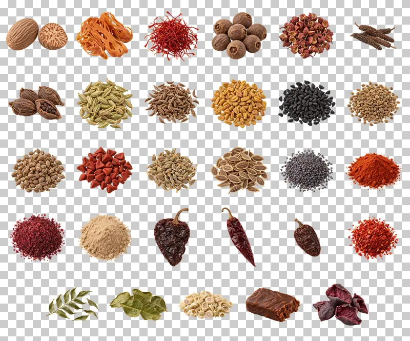 Global Spices and Dry Aromatics PNG Collection: all 29 elements in one grid