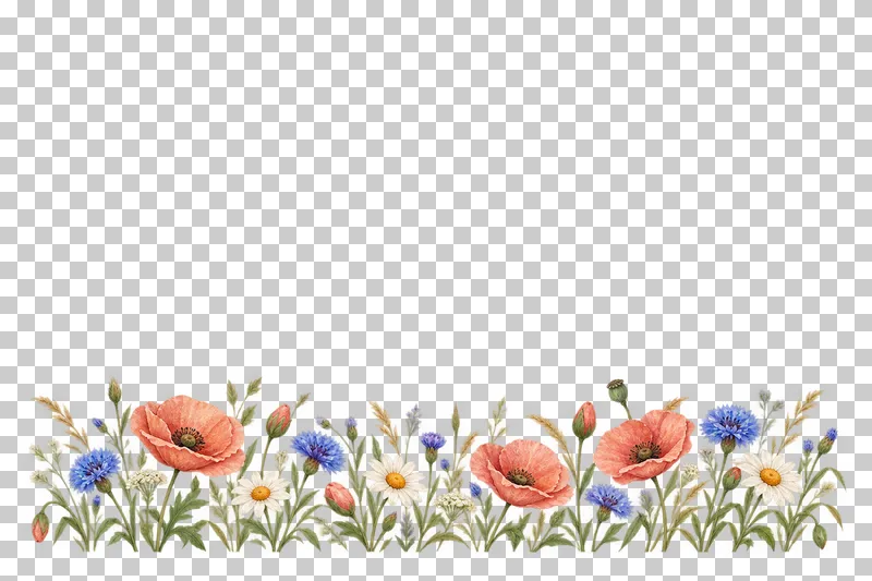 A low bottom border of small coral poppies, ivory daisies, blue cornflowers and grasses.