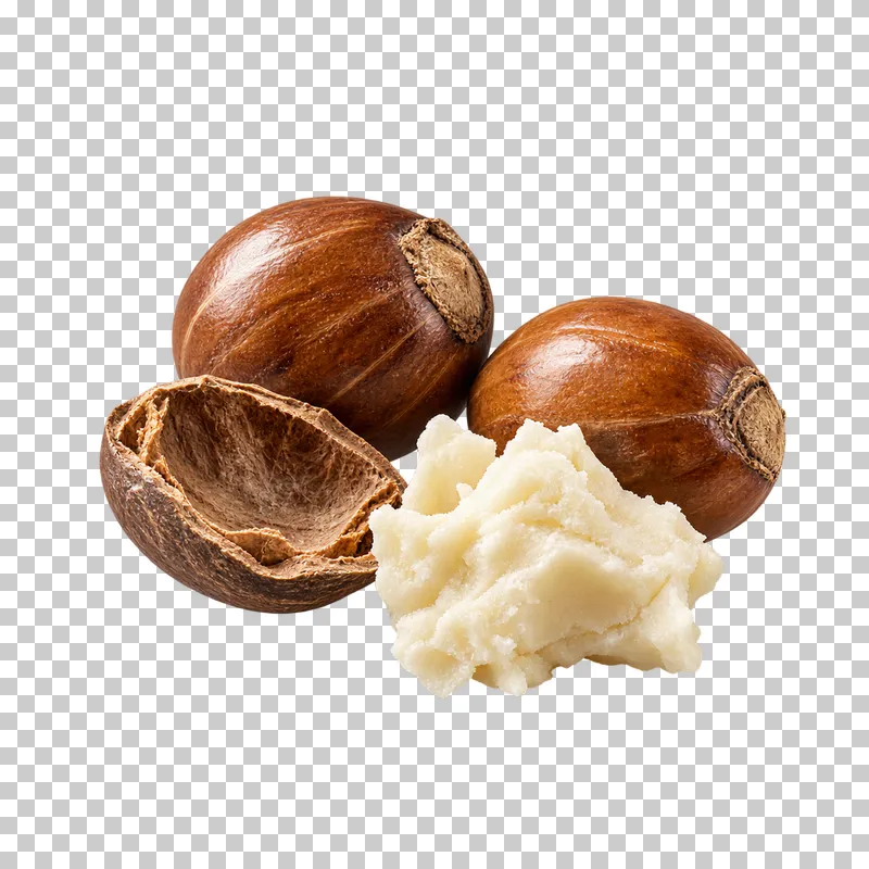 Two brown shea nuts, an open shell and an irregular ivory lump of raw butter.