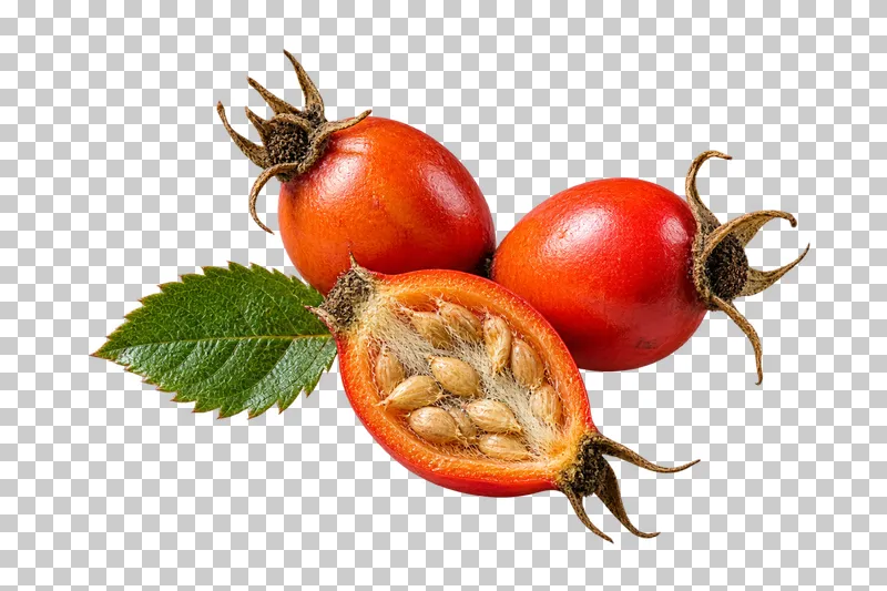 Two red-orange rosehips, an open seeded half and a small serrated green leaflet.