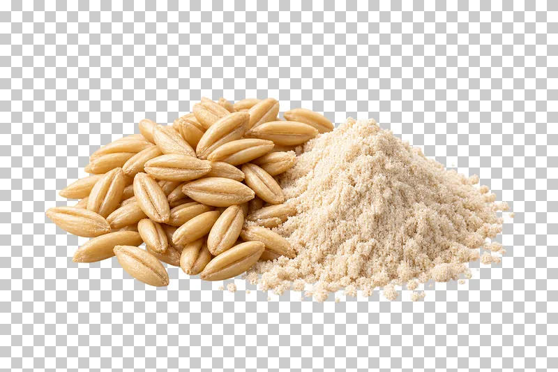 A group of dehulled oat groats beside a small mound of pale oatmeal powder.