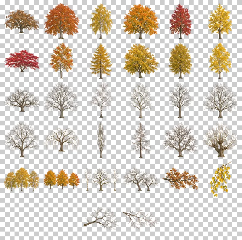 Autumn and Bare Trees for Architecture PNG Collection: all 32 elements in one grid