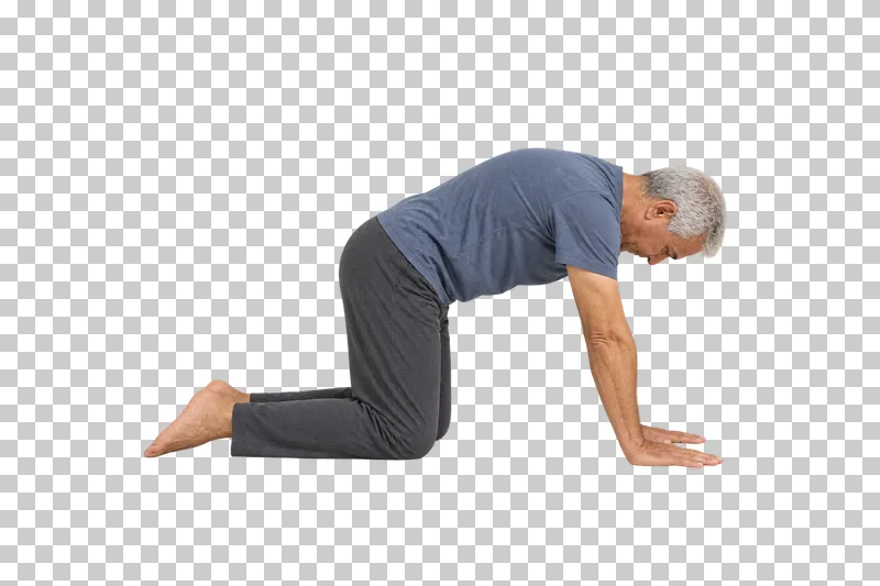 A fictional adult in cat pose, shown full body in natural photographic style.
