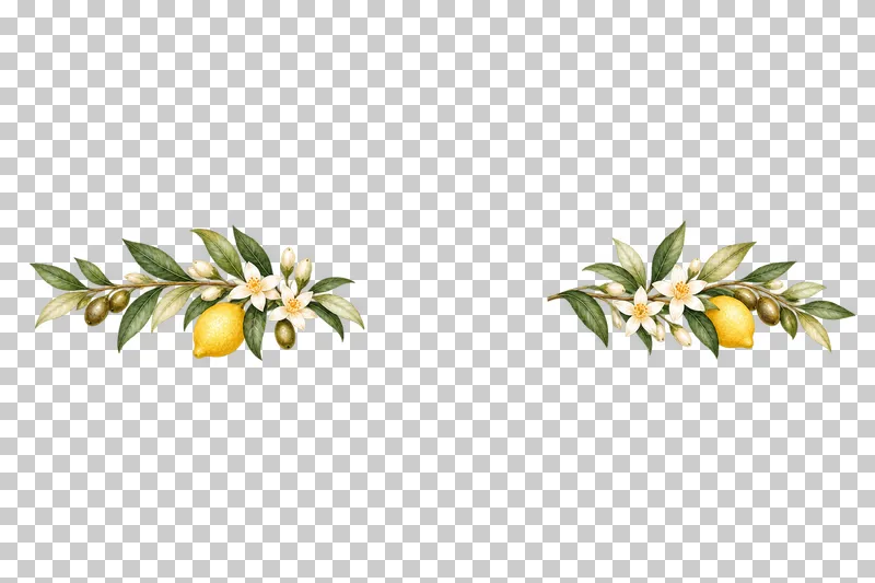Two unequal outward-reaching watercolor lemon and citrus blossom clusters separated by a wide clear gap.