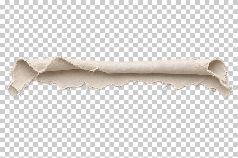 A long off-white torn paper strip with a rolled-back upper edge and ragged lower fibers.