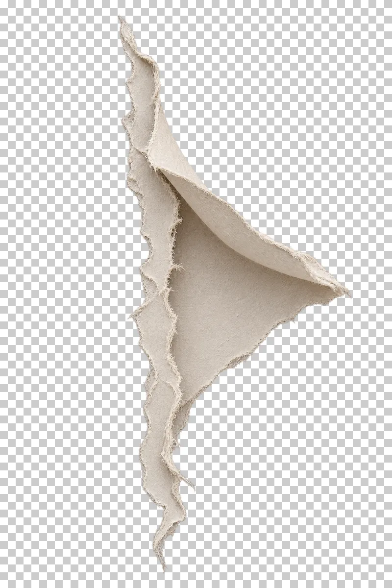A vertical torn paper edge with a broad attached triangular side peel.
