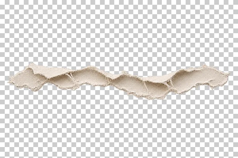 A torn paper border split into two attached thin pulp layers with bridging fibers.