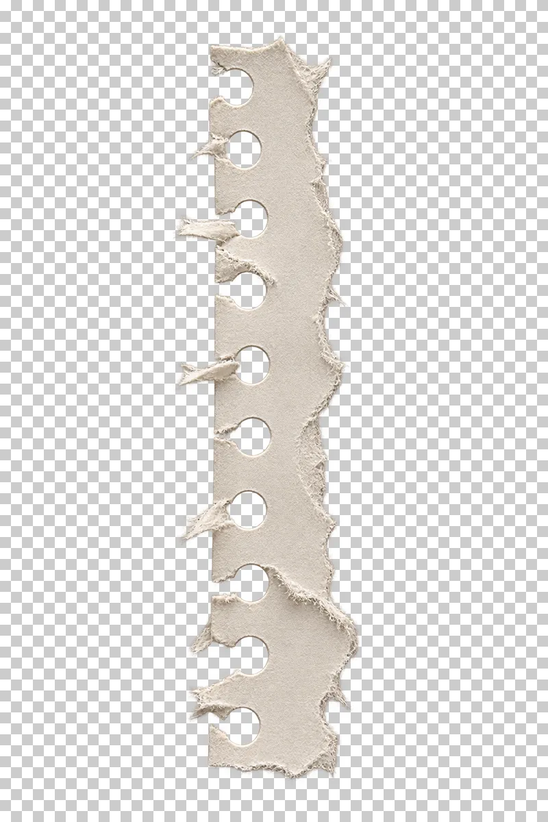 A vertical notebook paper margin with punched openings torn through to one side and ragged fiber teeth.