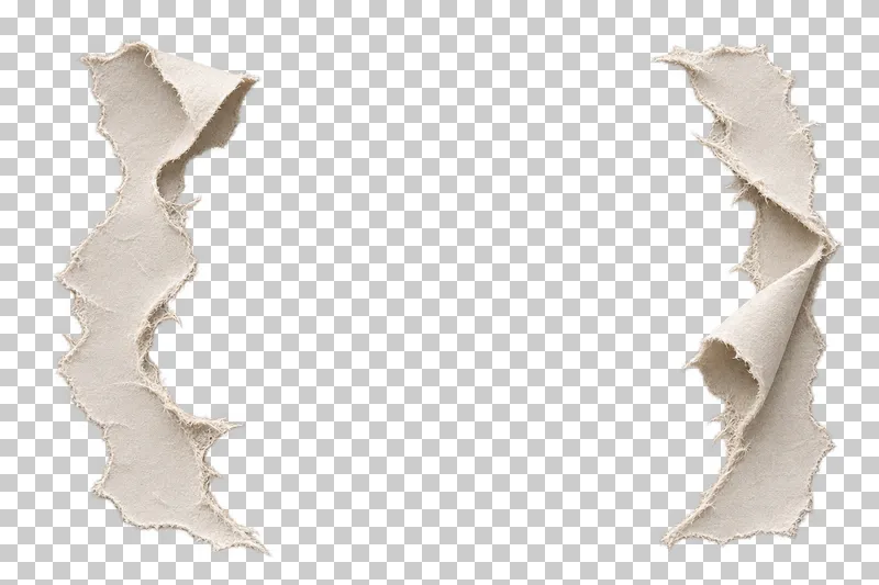 Two separate torn paper side margins with different outward curls around an open central channel.