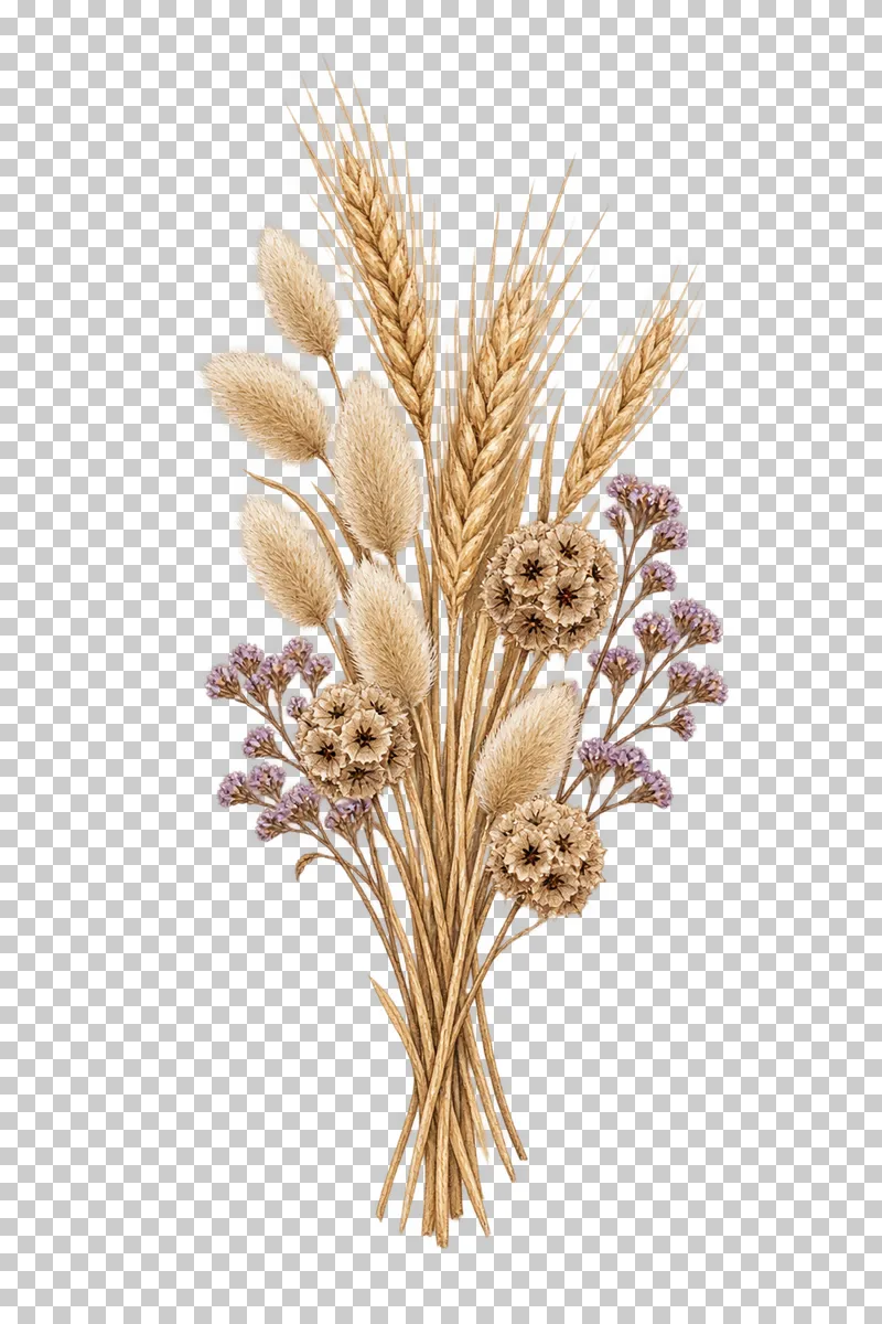 A slender meadow sheaf of wheat, bunny tails, mature scabiosa cup clusters and lilac statice.
