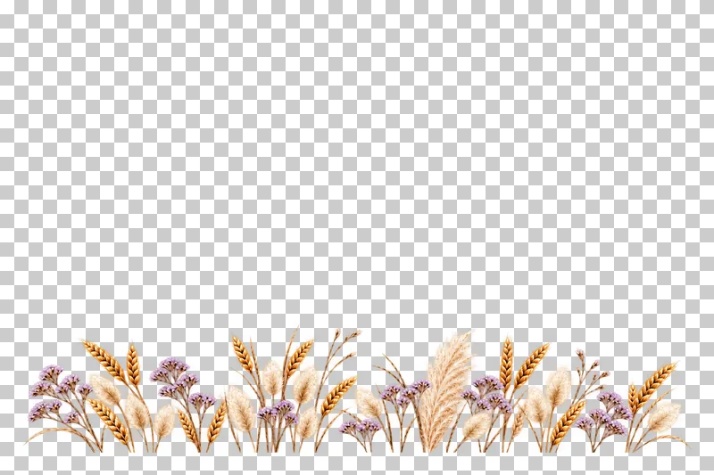 A shallow bottom footer of unequal upright wheat, bunny-tail, statice and short pampas groups.