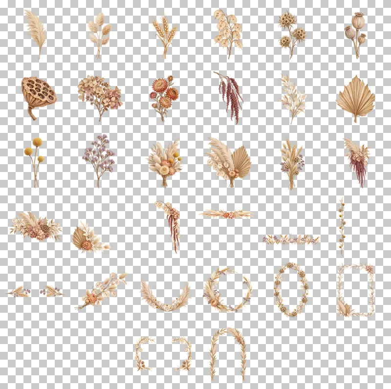 Dried Florals and Pampas Watercolor PNG Collection: all 32 elements in one grid