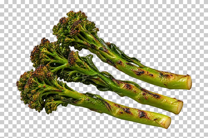 Three grilled broccolini stems with branching green florets and lightly browned edges.