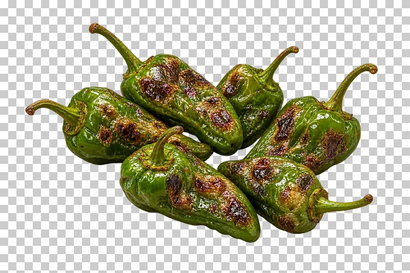 A small portion of whole blistered green Padron peppers with intact stems.