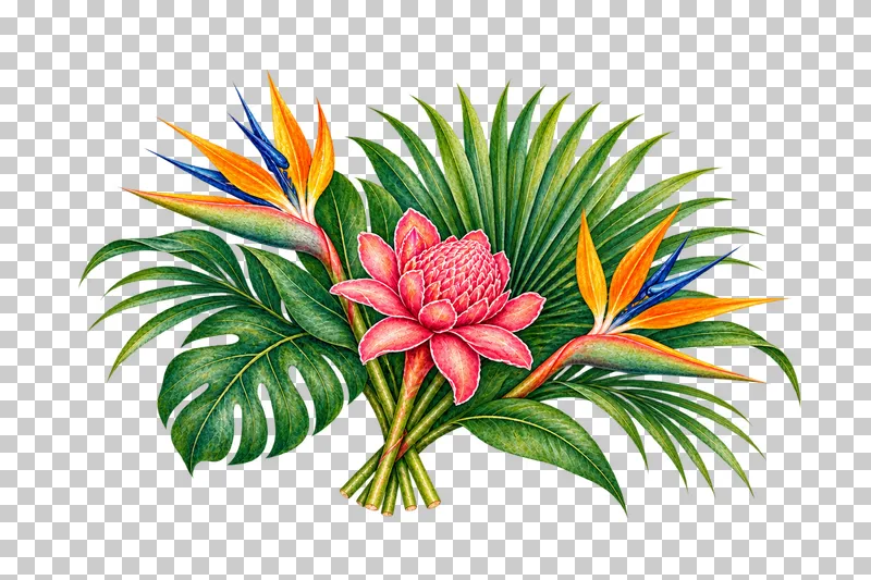 Wide bird-of-paradise and pink ginger arrangement with radial green fan palm foliage in watercolor.
